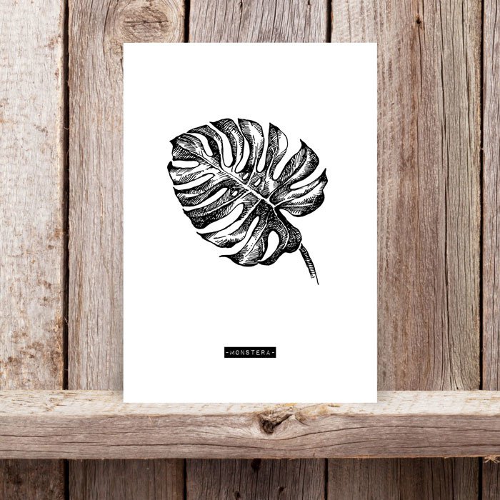 HK-Woonkaart-Monstera-1 Woonkaart Monstera